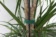 Genius Ideas Double-Sided Hook & Loop Tape "5m" - Green
