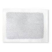 Wellys GI-122108: Set of 10 Bamboo Plaster - Ginger